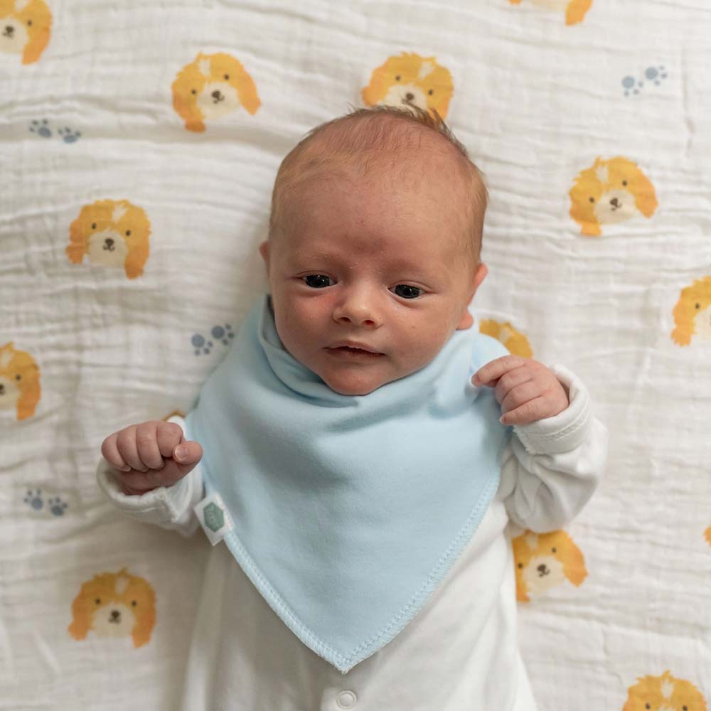 absorbent fleece lined bandana dribble bib for newborn baby
