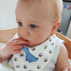 absorbent fleece lined bandana dribble bib for baby